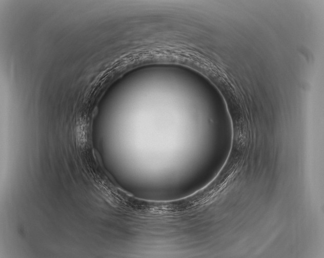 X0000115691490200911121256