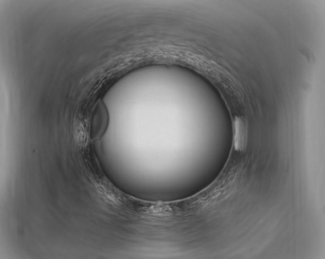 X0000115691491200911121256