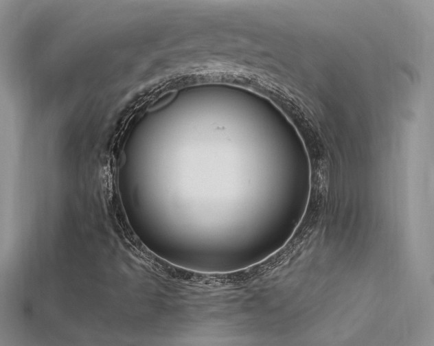 X0000115691493200911121256