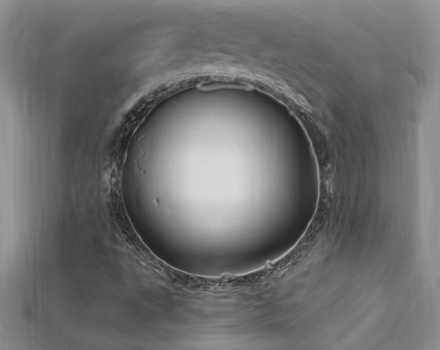 X0000115691495200911121256