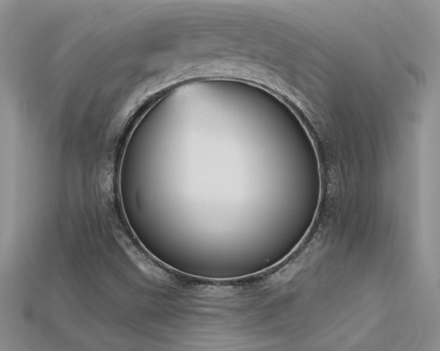 X0000115691499200911121256