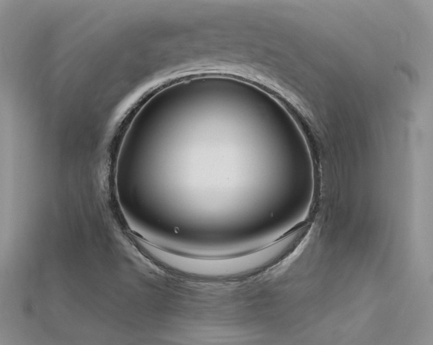 X0000115691502200911121256