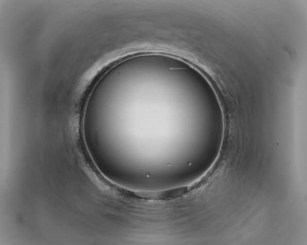 X0000115691503200911121256
