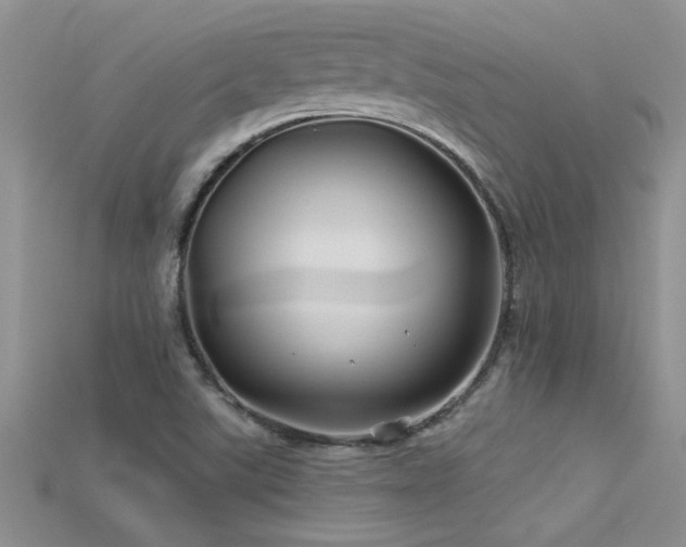 X0000115691507200911121256