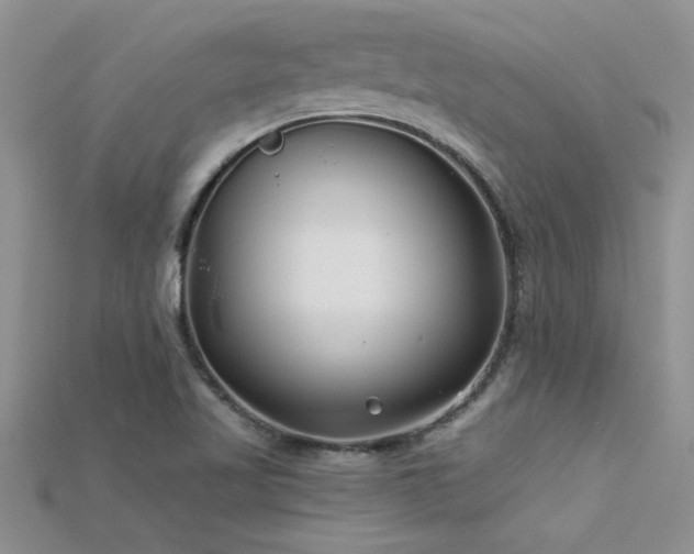X0000115691509200911121256