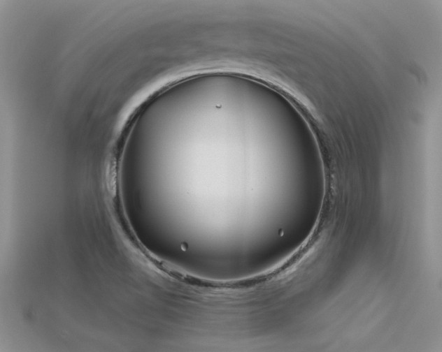 X0000115691510200911121256