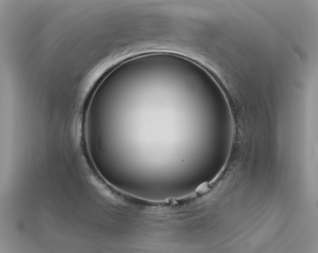 X0000115691511200911121256