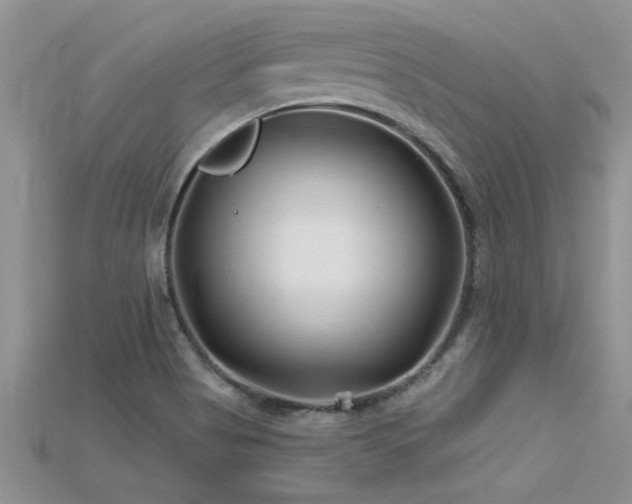 X0000115691513200911121256