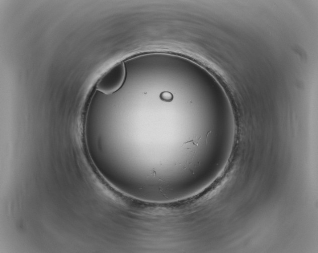 X0000115691517200911121256