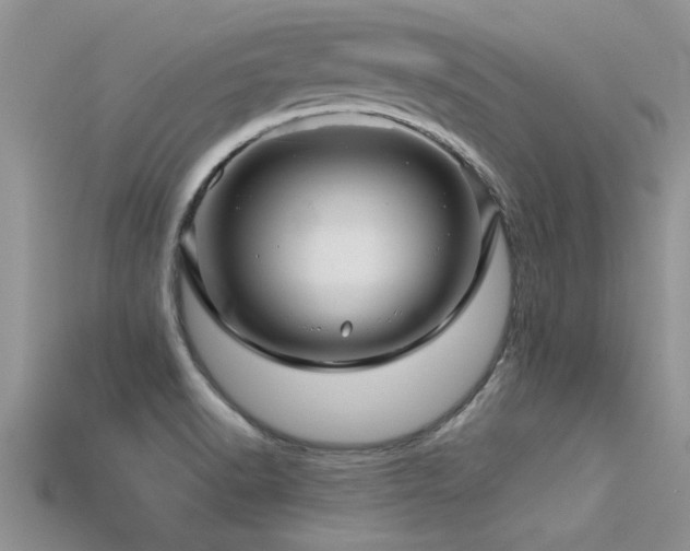 X0000115691518200911121256