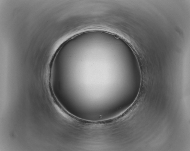 X0000115691519200911121256