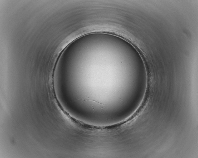 X0000115691521200911121256