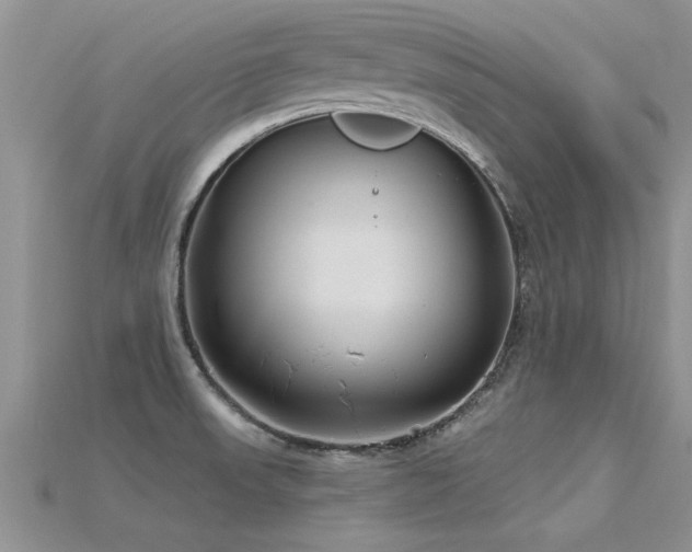 X0000115691523200911121257