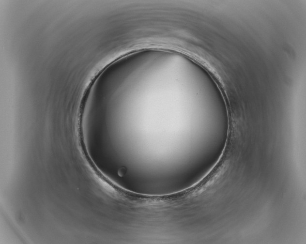 X0000115691525200911121257