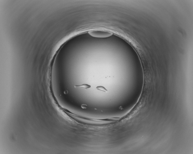 X0000115691526200911121257