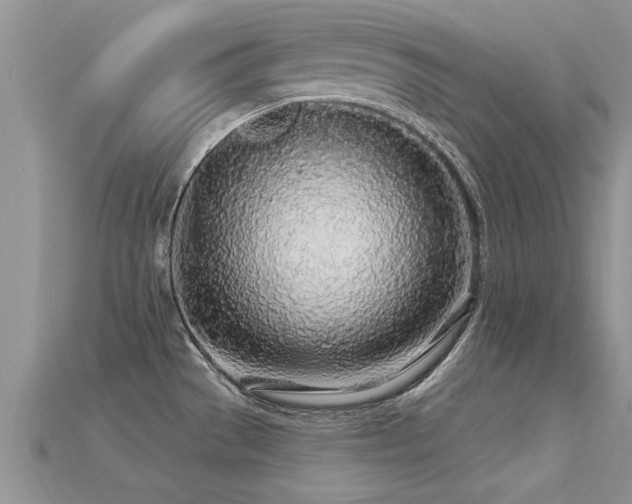 X0000115691529200911121257