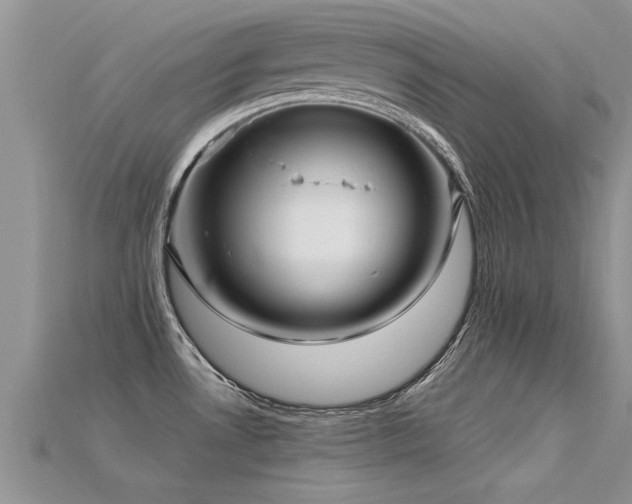 X0000115691530200911121257