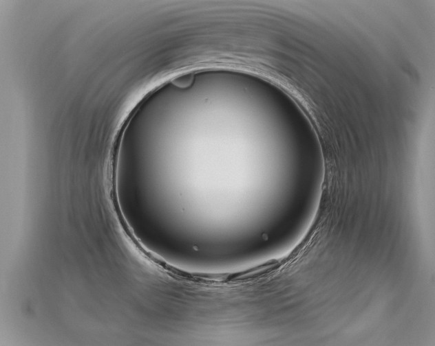 X0000115691531200911121257