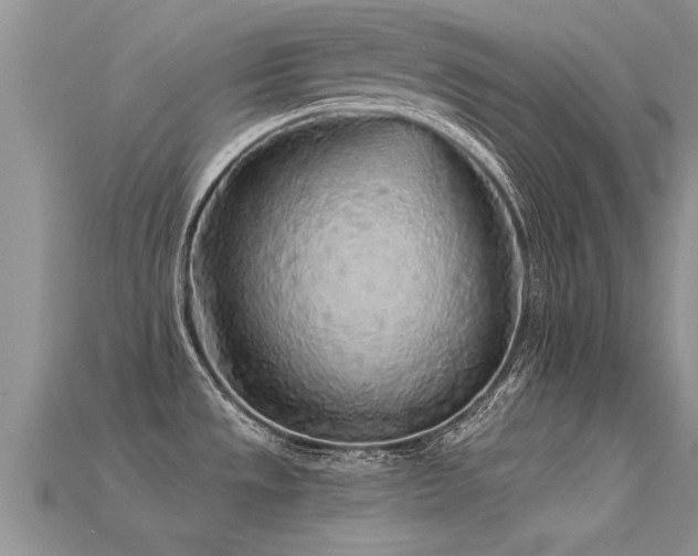 X0000115691533200911121257