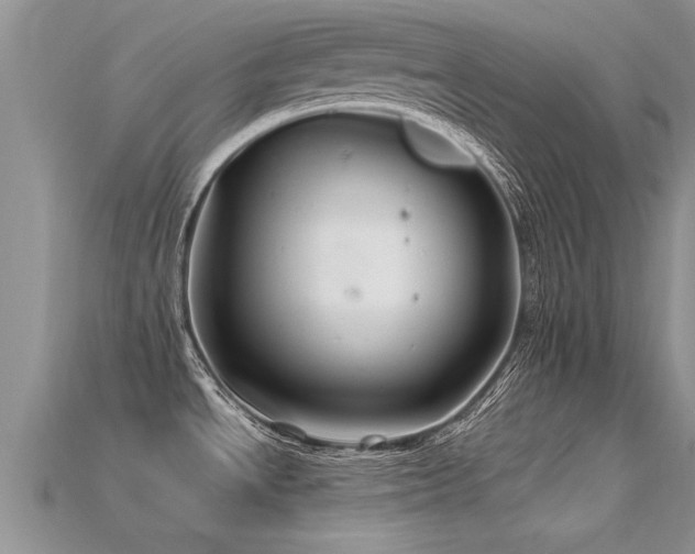 X0000115691534200911121257