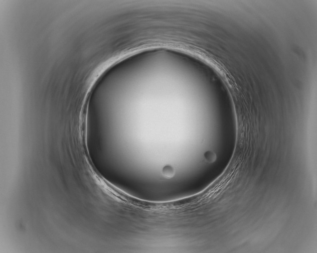 X0000115691535200911121257