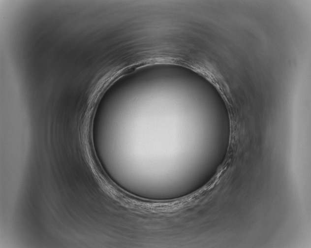 X0000115690001200911191123