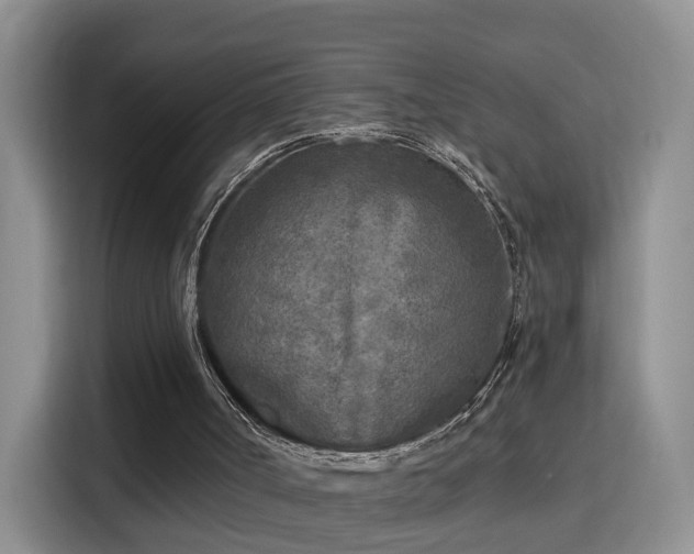 X0000115690002200911191123