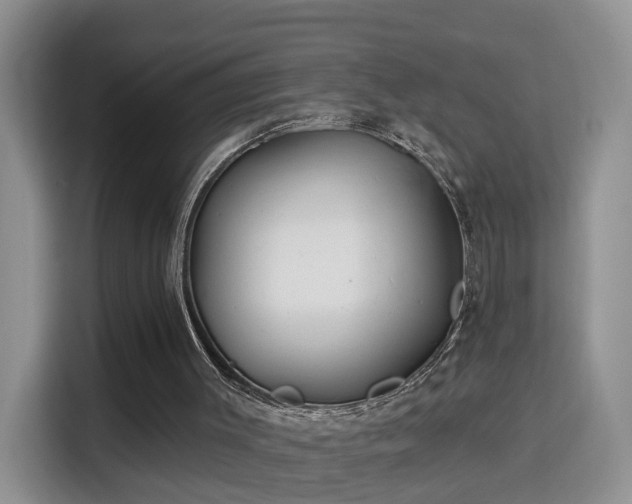 X0000115690003200911191123