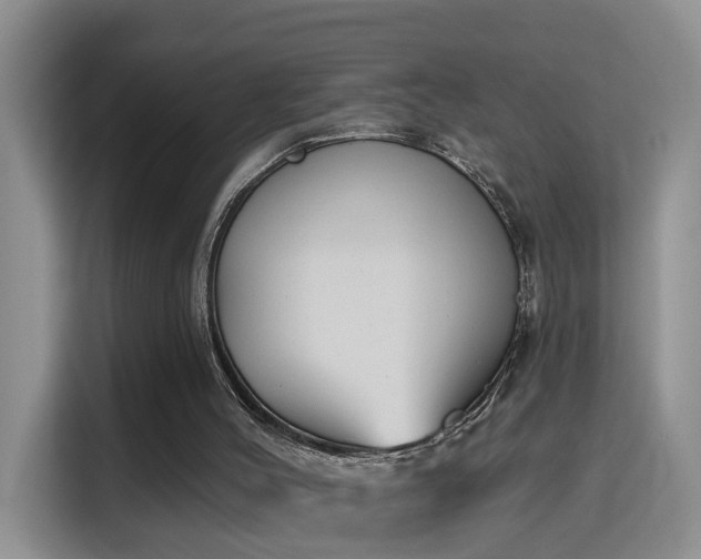 X0000115690004200911191123