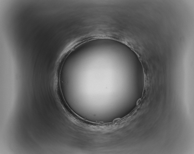 X0000115690005200911191123