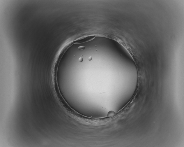 X0000115690006200911191123