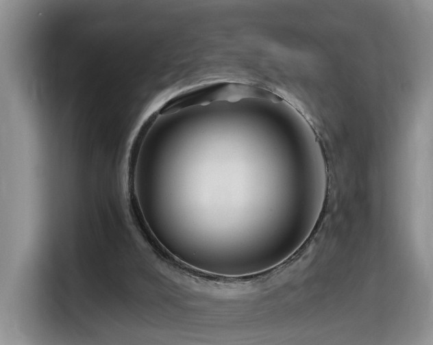 X0000115690008200911191123