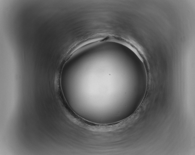 X0000115690009200911191123