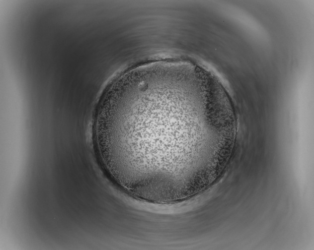 X0000115690010200911191123