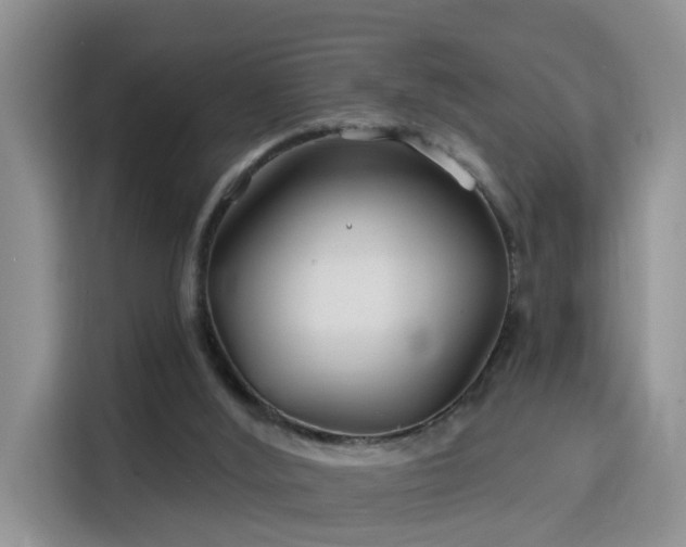 X0000115690012200911191123