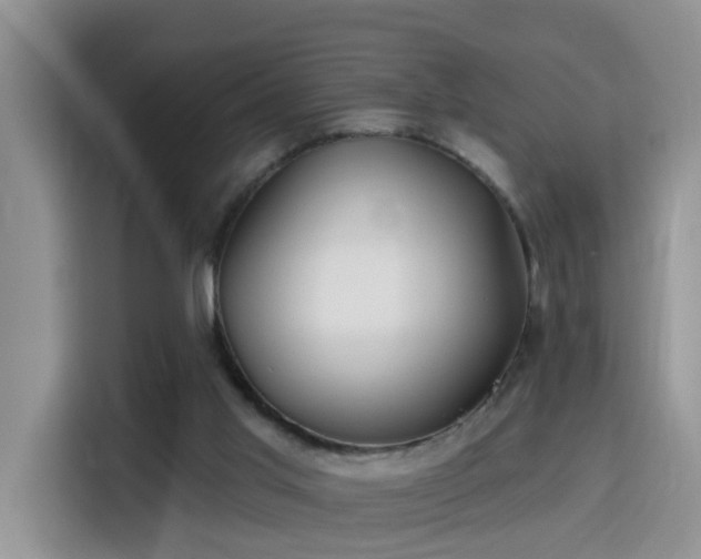 X0000115690013200911191123