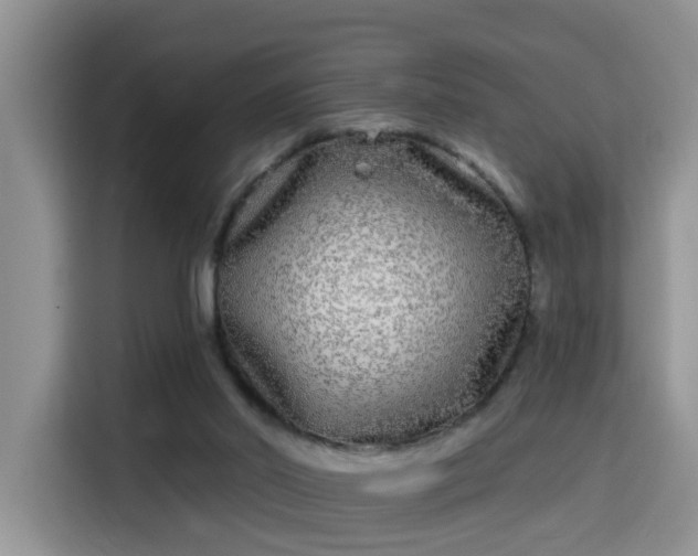 X0000115690014200911191123