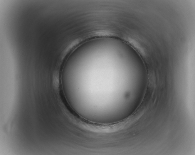 X0000115690015200911191123