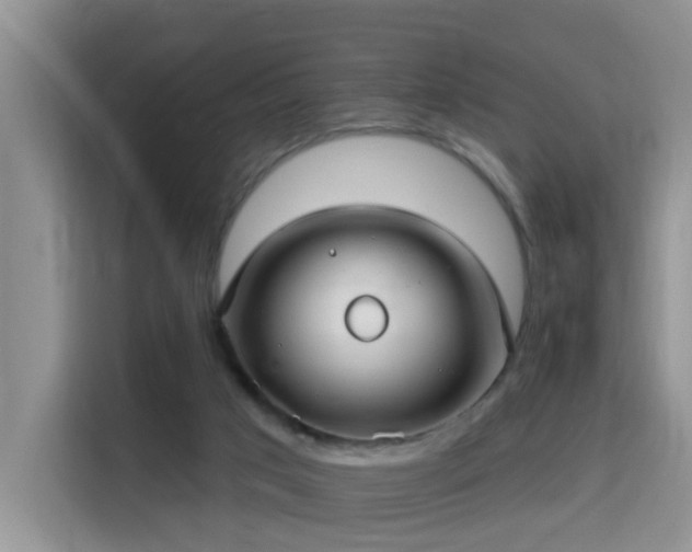 X0000115690017200911191123