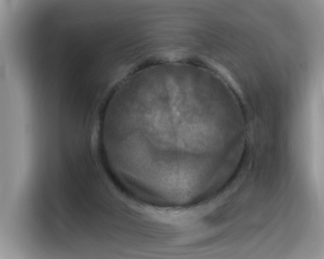 X0000115690018200911191123