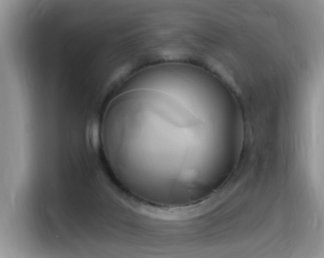 X0000115690019200911191123