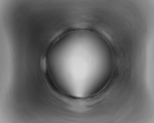 X0000115690020200911191123