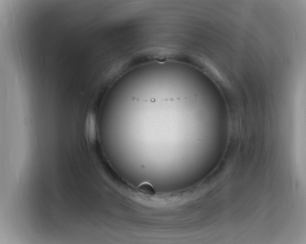 X0000115690022200911191123