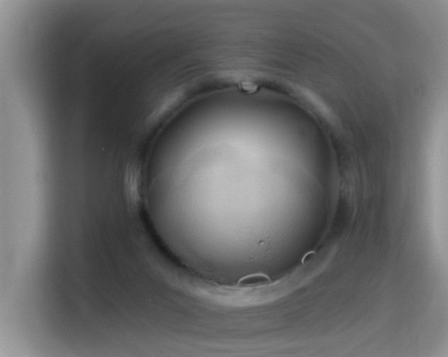 X0000115690023200911191123