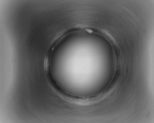 X0000115690024200911191123