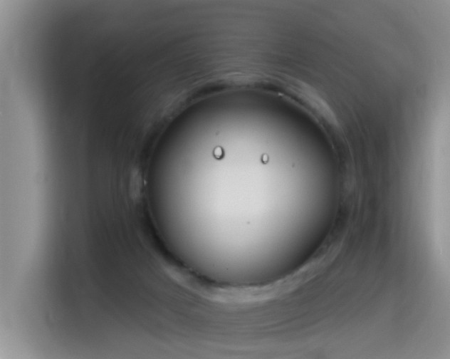 X0000115690025200911191123