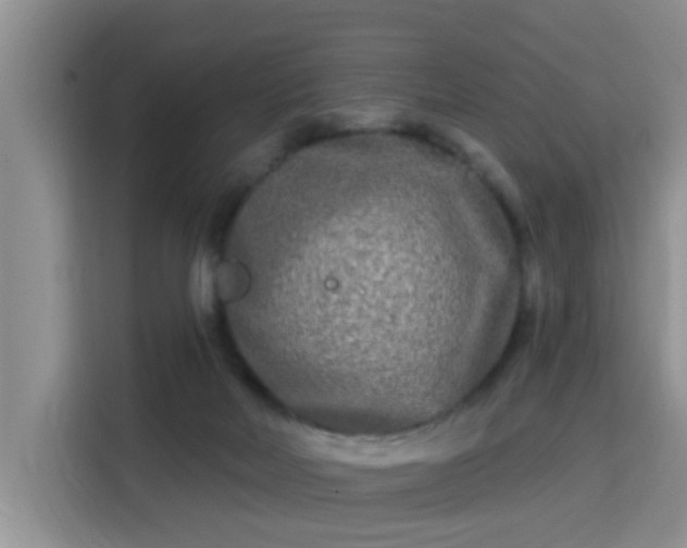 X0000115690026200911191123