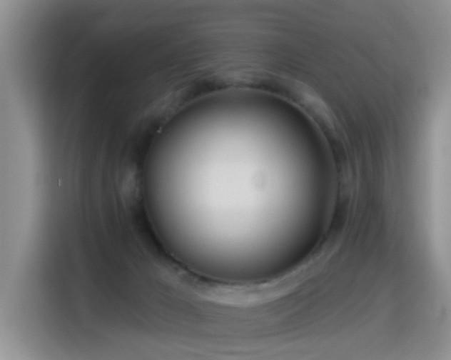 X0000115690029200911191123