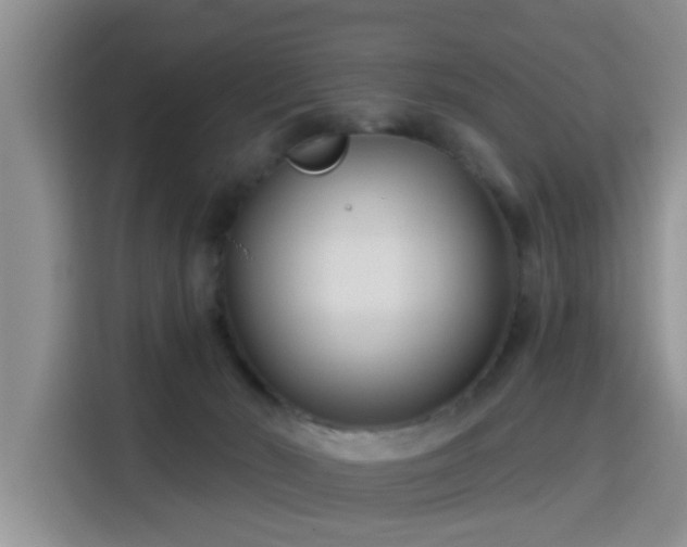 X0000115690030200911191123