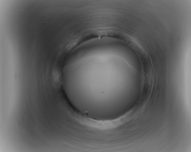 X0000115690031200911191123